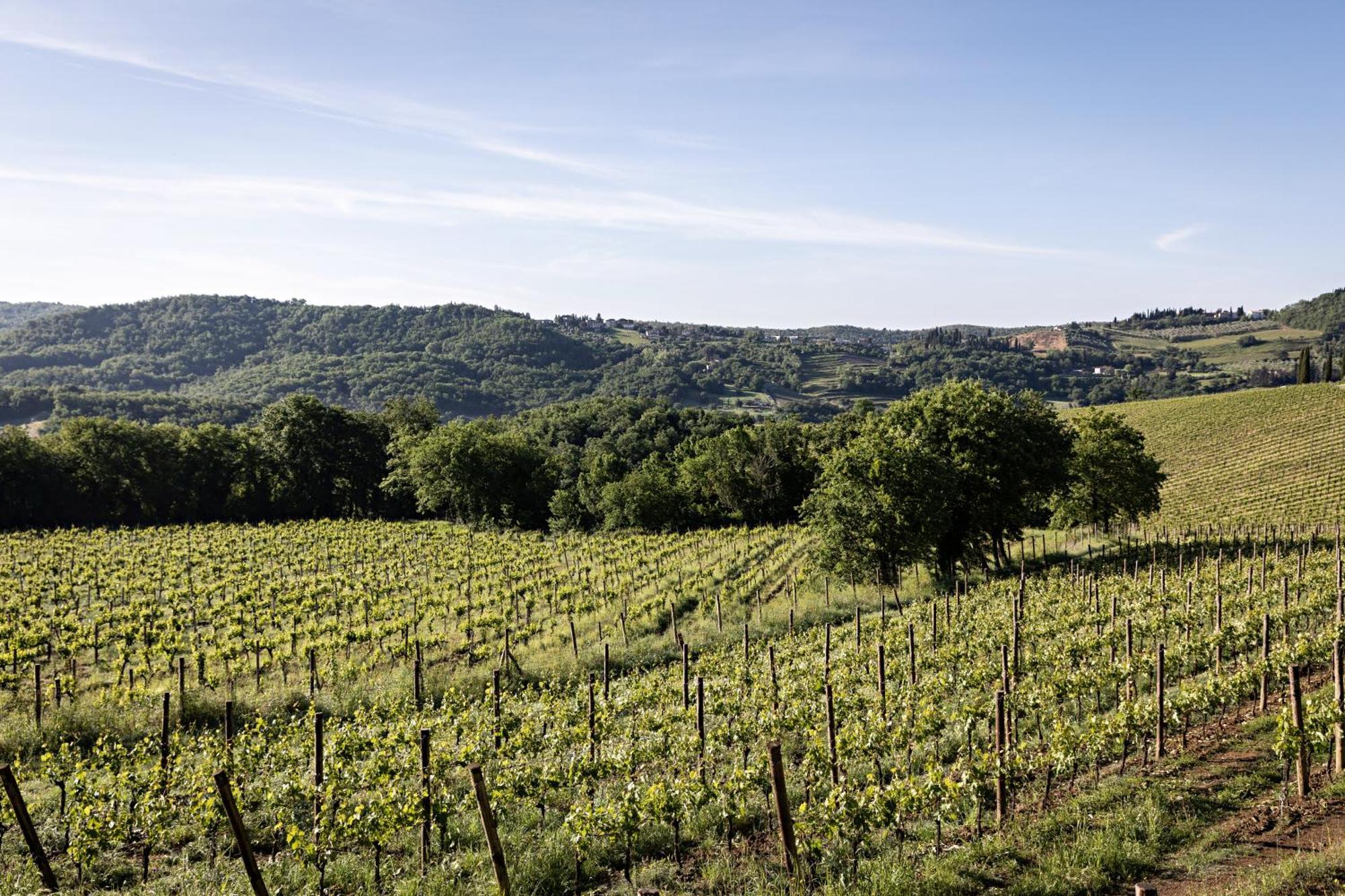 Pieve Aldina Relais & Chateaux Radda in Chianti Luaran gambar